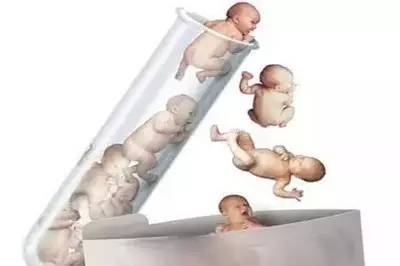 关于女同伴侣借卵代怀